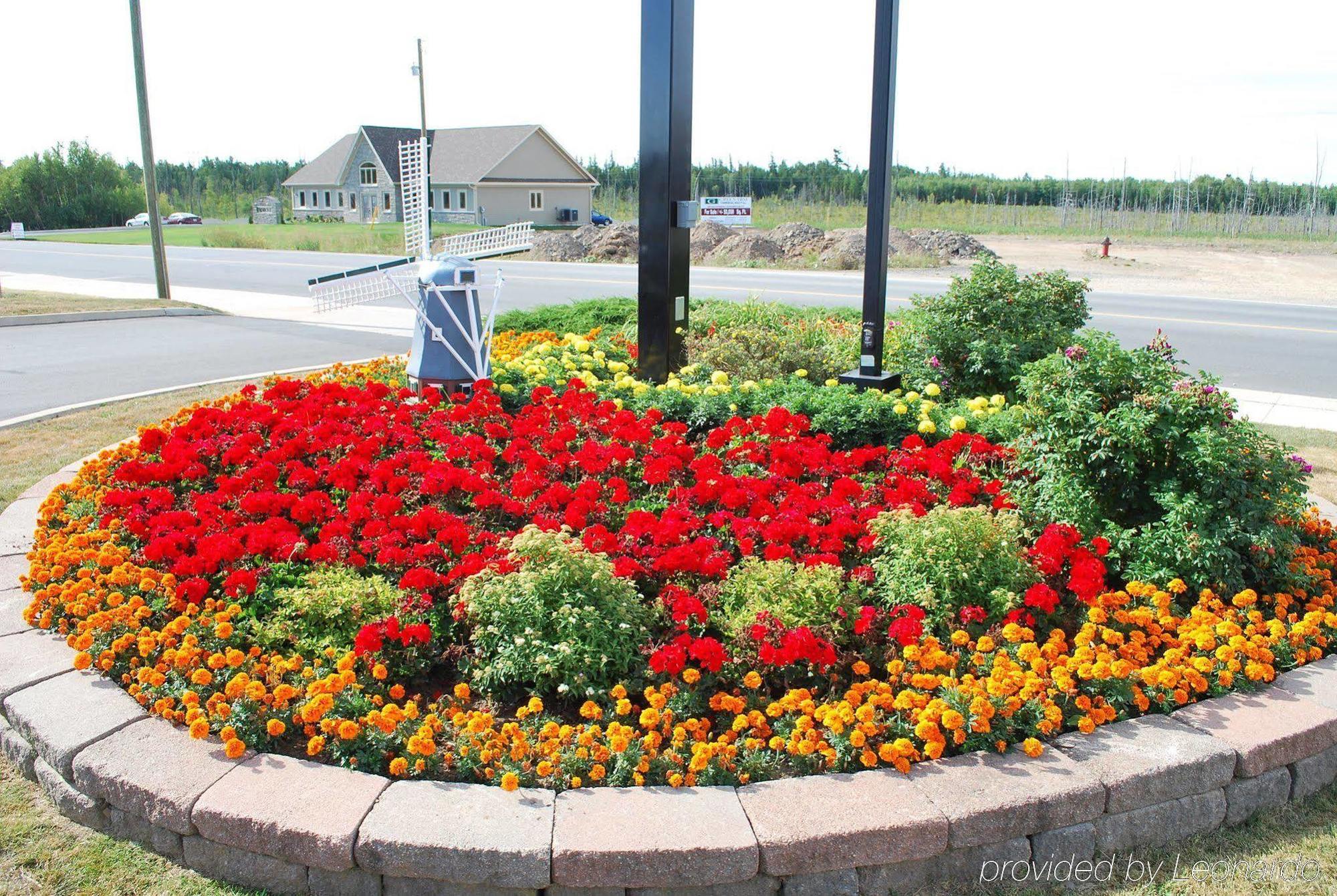 Quality Inn & Suites Amsterdam Fredericton Luaran gambar